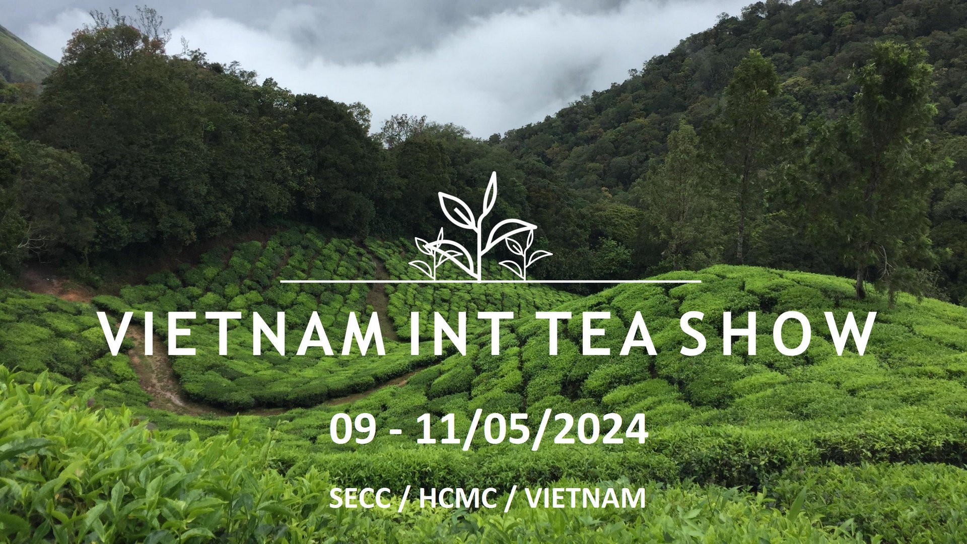 Vietnam Int'l Tea Show 2024 - Thi công gian hàng Vietnam Int'l Tea Show